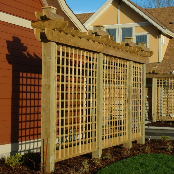 Trellis Staining in Acworth