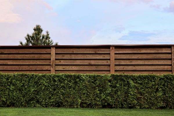Pine Fence Staining in Acworth